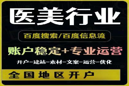 SEM代运营经典案例解析与启示